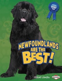 Newfoundlands Are the Best! (The Best Dogs Ever)