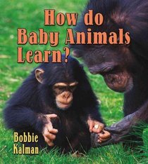 How Do Baby Animals Learn? (It's Fun to Learn About Baby Animals)