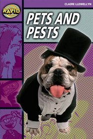Rapid Stage 1 Set B: Pets and Pests Teader Pack of 3 (series 2)