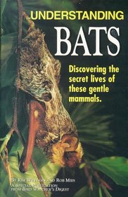 Understanding Bats