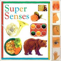 Tab Board Books: Super Senses