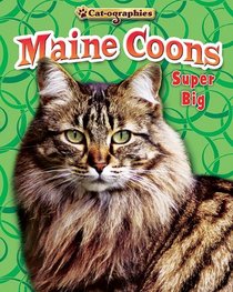 Maine Coons: Super Big (Cat-Ographies)
