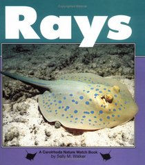 Rays (Nature Watch)