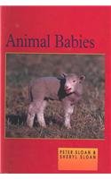 Animal Babies (Little Red Readers. Level 3)