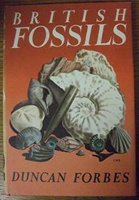 BRITISH FOSSILS (YOUNG NATURALIST S.)