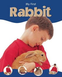Rabbit (My First Pet)