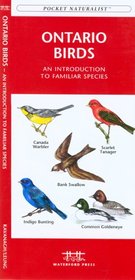 Ontario Birds: An Introduction to Familiar Species (Pocket Naturalist - Waterford Press)