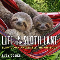 Life in the Sloth Lane: Slow Down and Smell the Hibiscus
