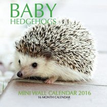 Baby Hedgehogs Mini Wall Calendar 2016: 16 Month Calendar