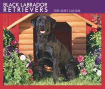 Labrador Retrievers, Black 2008 Boxed Calendar (German, French, Spanish and English Edition)