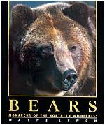 Bears: Monarchs of the Northern Wilderness