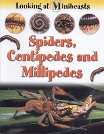 Spiders, Centipedes and Millipedes (Looking at Minibeasts)