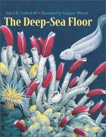 The Deep-Sea Floor (Charlesbridge)