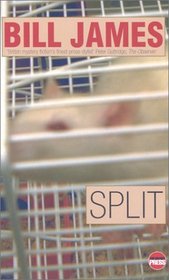 Split (Simon Abelard Mystery)