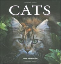 Cats (Flexi cover series)