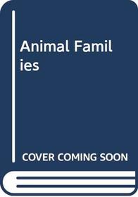 Animal Families (Windmill Board Book)