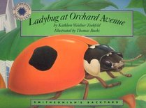 Ladybug at Orchard Avenue (Smithsonian's Backyard (Paperback))