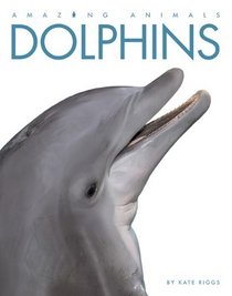 Amazing Animals: Dolphins