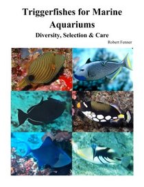 Triggerfishes for Marine Aquariums: Diversity, Selection & Care