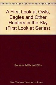 A First Look at Owls, Eagles and Other Hunters in the Sky (First Look at Series)