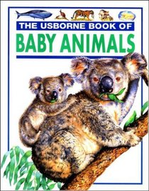 Baby Animals (Young Nature Series)