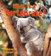 What Is a Vertibrate? (Big Science Ideas)