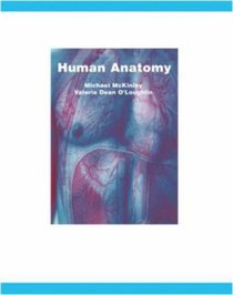 Human Anatomy