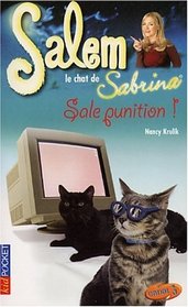 Salem, tome 12 : Sale punition
