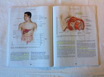 Integrate- Benjamin Cummings Custom Laboratory Program for Anatomy and Pysiology