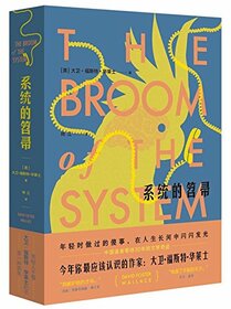 The Broom of The System (Chinese Edition)