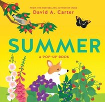 Summer: A Pop-Up Book (Seasons Pop-up)
