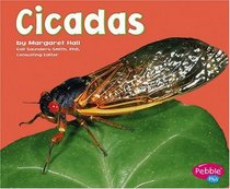Cicadas (Pebble Plus; Bugs, Bugs, Bugs)