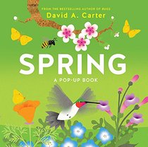 Spring: A Pop-up Book (Seasons Pop-up)