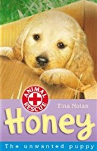 Honey, the unwanted puppy (animal rescue)