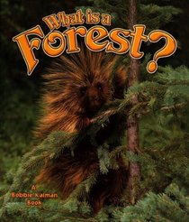 What Is A Forest? (Turtleback School & Library Binding Edition) (The Science of Living Things)