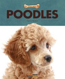 Fetch!: Poodles