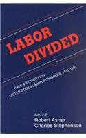 Labor Divided: Race and Ethnicity in United States Labor Struggles, 1835-1960 (Suny Series in American Labor History)