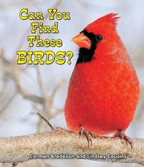 Can You Find These Birds? (All about Nature)