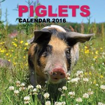 Piglets Calendar 2016: 16 Month Calendar