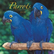 Parrots 2008 Square Wall Calendar (German, French, Spanish and English Edition)