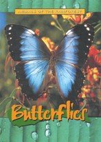 Animals of the Rainforest: Butterflies (Animals of the Rainforest)