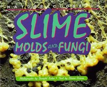 Slime Molds and Fungi (Nature Close-Up)