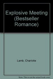 Explosive Meeting (Bestseller Romance)