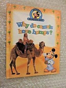 Why do camels have humps? (Mickey wonders why)