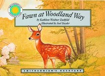 Fawn at Woodland Way - a Smithsonian's Backyard Book (Si By)