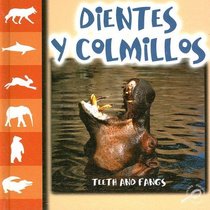 Dientes Y Colmillos / Teeth and Fangs (Let's Look at Animal Discovery Library (Bilingual Edition))