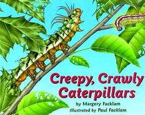 The Creepy Crawly Caterpillar Book