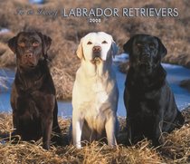 Labrador Retrievers, For the Love of 2008 Deluxe Wall Calendar (German, French, Spanish and English Edition)
