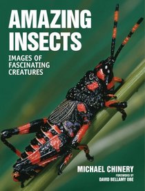 Amazing Insects: Images of Fascinating Creatures