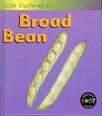 Broad Bean (Life Cycle of A...)
